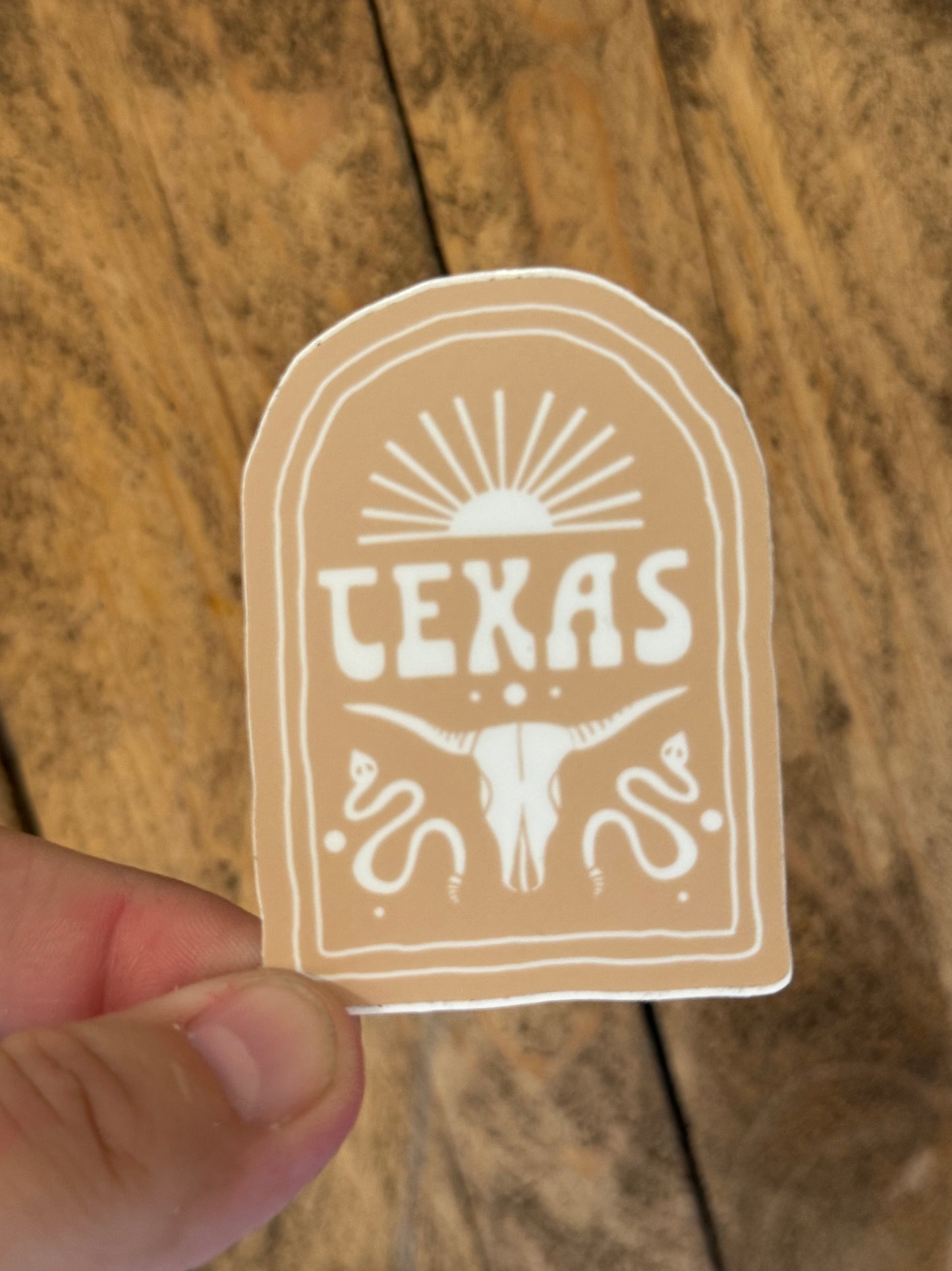 TEXAS Scene Sticker